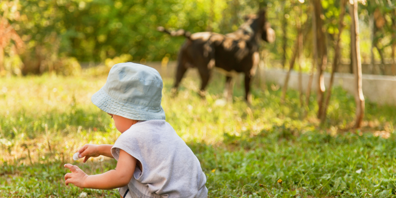 Rencontrer des animaux et découvrir la nature avec les tout-petits dans le Var