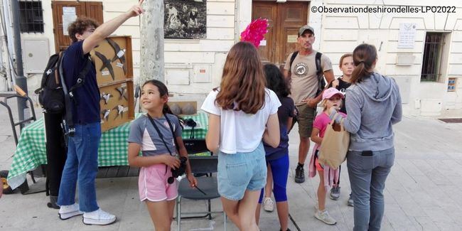 atelier LPO fête de la nature