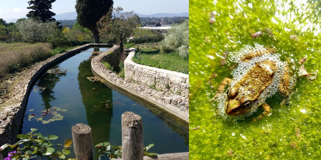 les jardins du mip mouans-sartoux