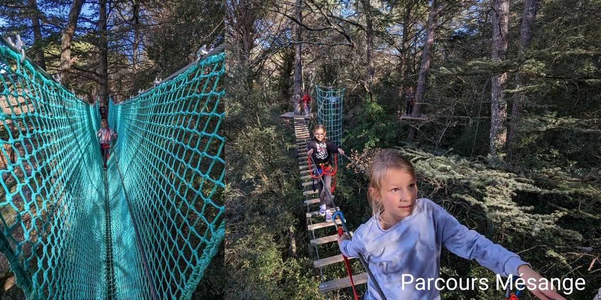 aoubré parcours dans les arbres