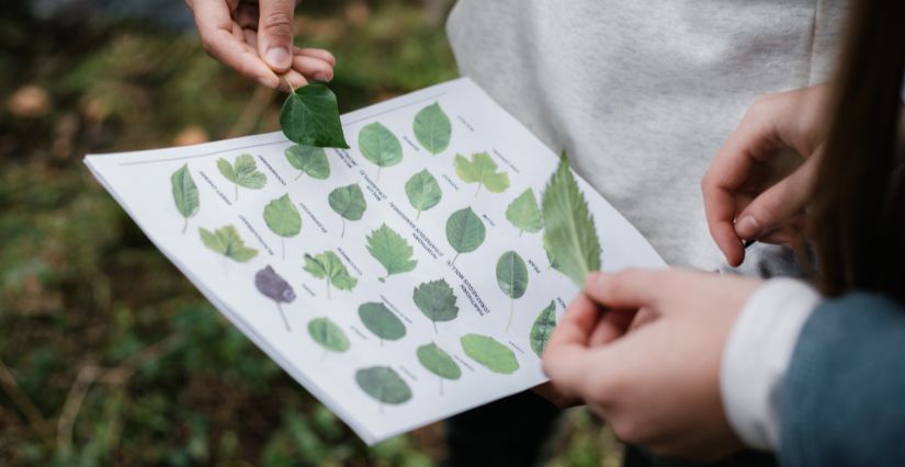 activités ludiques fête de la nature