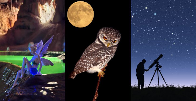les nocturnes en famille alpes-maritimes