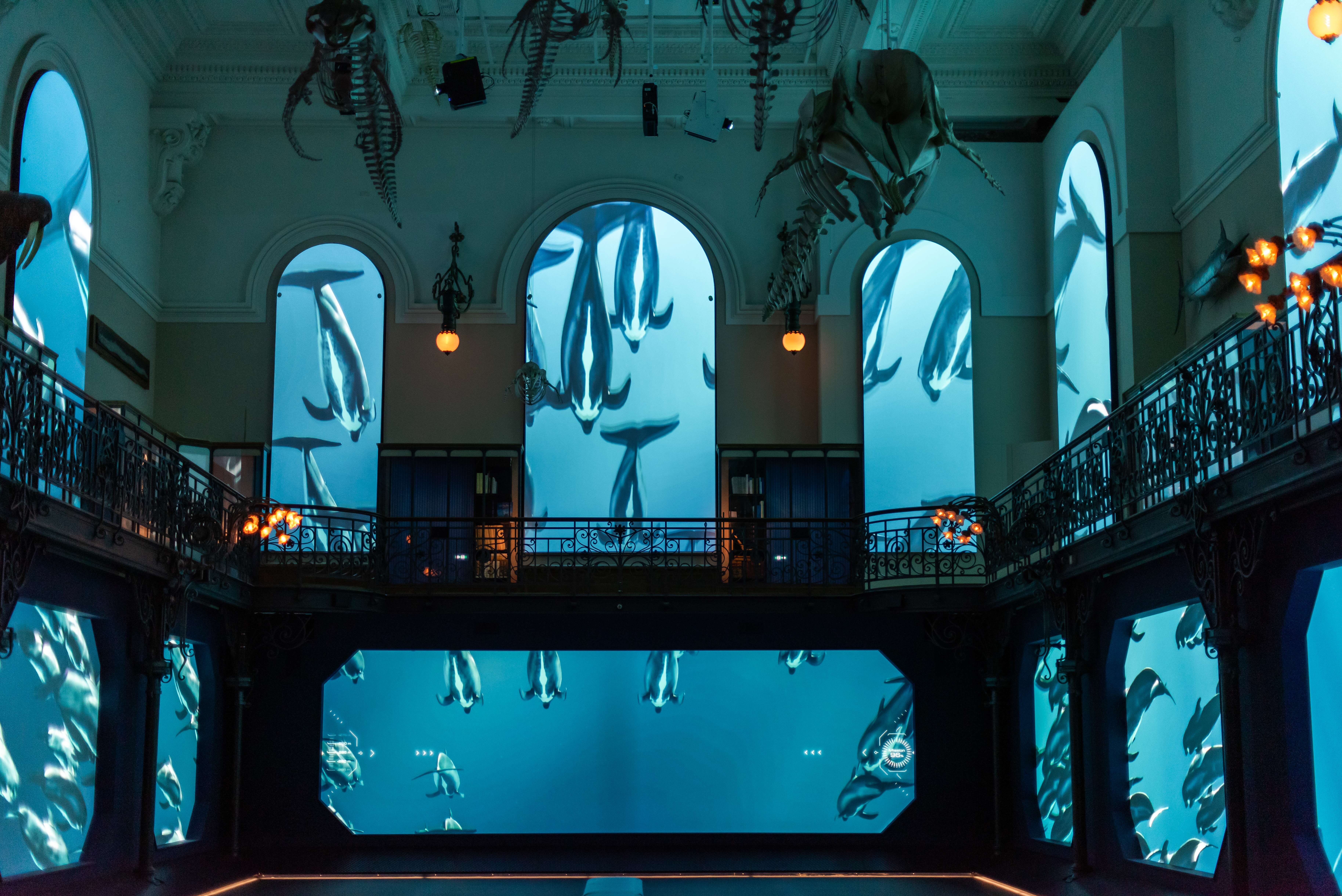 Musée Océanographique de Monaco