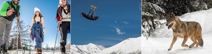 animations Pure Montagne