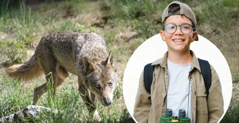 soigneur d'un jour au Parc Alpha Pure Montagne