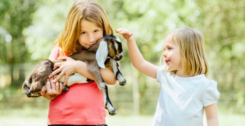 Allez à la rencontre des animaux pendant les vacances