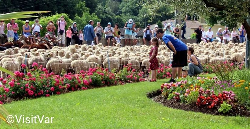 fête de la transhumance