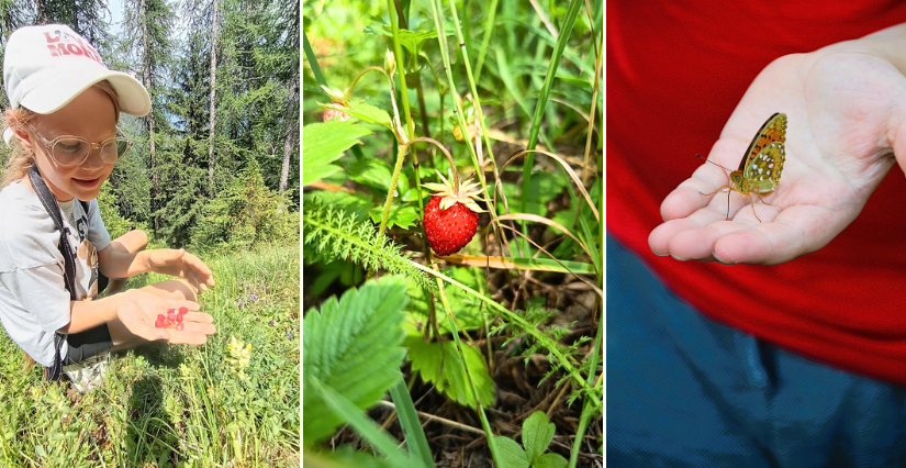 la nature à la Colmiane