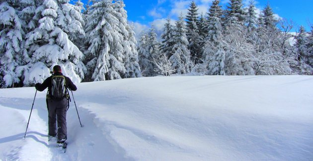 Sortie "Découverte Raquettes à Neige", en famille avec l'agence Orgaya