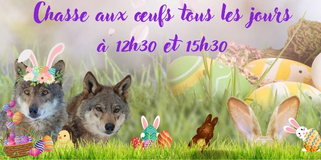 Visite et chasse aux œufs au Parc Alpha à Saint-Martin-Vesubie