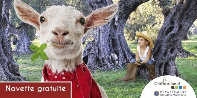 sortie en famille ferme Fête agricole du Brusc à Châteauneuf