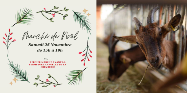 Marché de Noël à la chèvrerie de Valbonne en famille marché local producteurs locaux Bio Noël