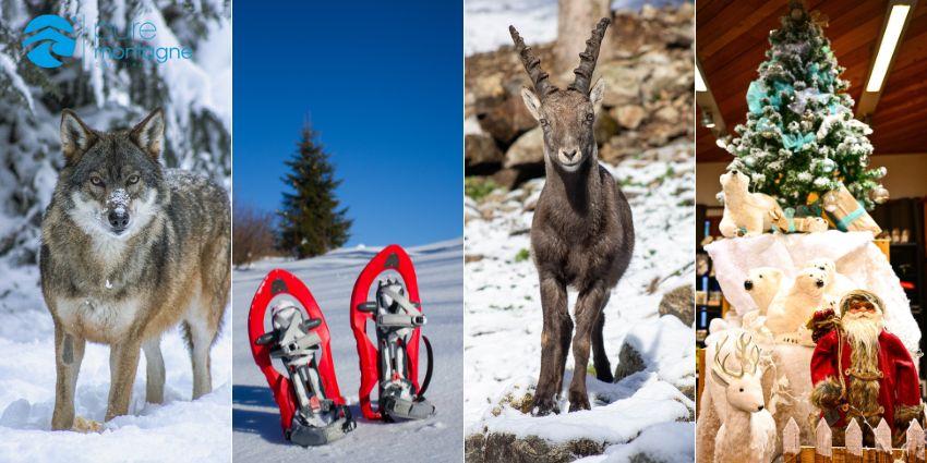 parc alpha vacances de Noël en famille Boréon Montagne alpes-maritimes Ouverture du Boréon et du Parc Alpha !