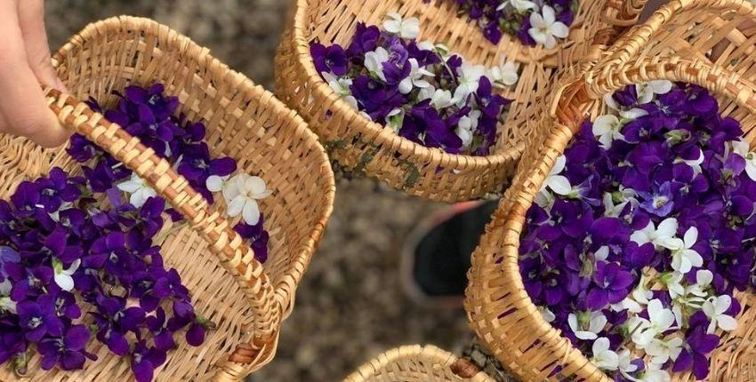 Atelier culinaire chausson-sucette choco-violette au Mas de l'Olivine