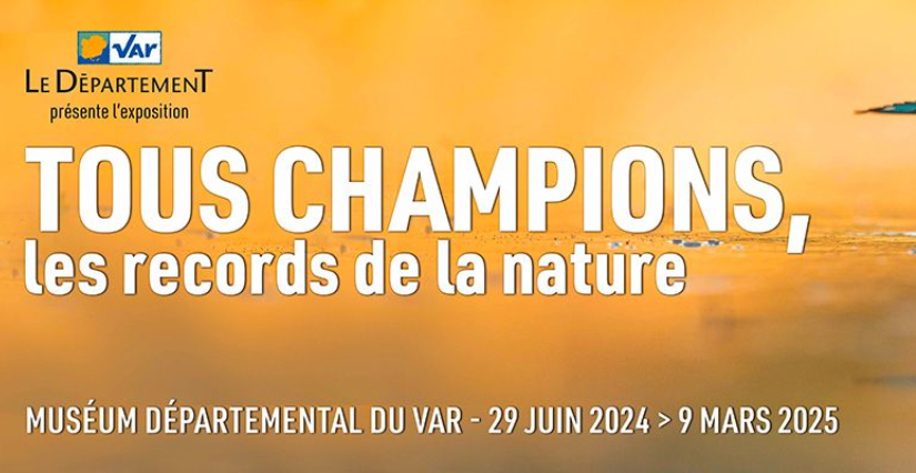 "Tous champions, les records de la nature", exposition au Musée départemental du Var