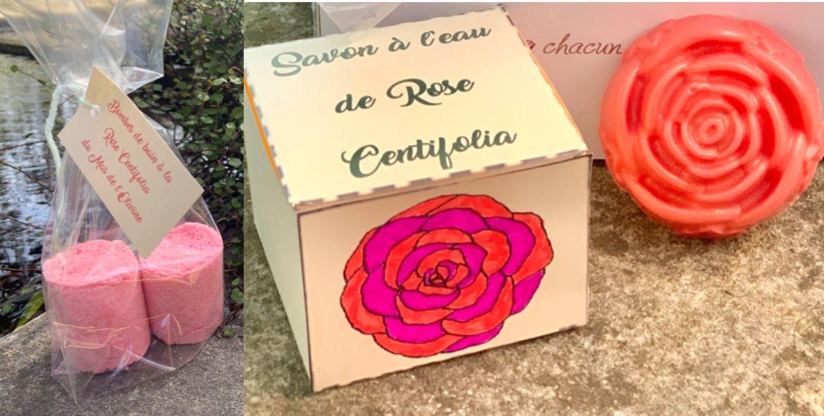 Atelier création de cosmétiques en duo parent-enfant au Mas de l'Olivine Atelier création de cosmétiques en duo parent-enfant au Mas de l'Olivine