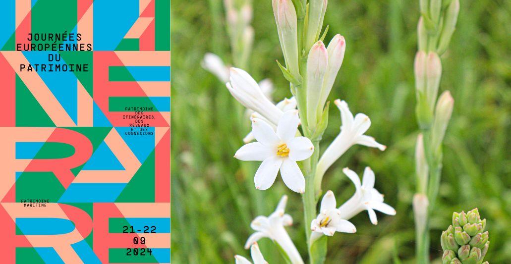 Journées Européennes du Patrimoine au mas de l'Olivine à Peymeinade #JEP : à la découverte des plantes à parfum du Pays de Grasse