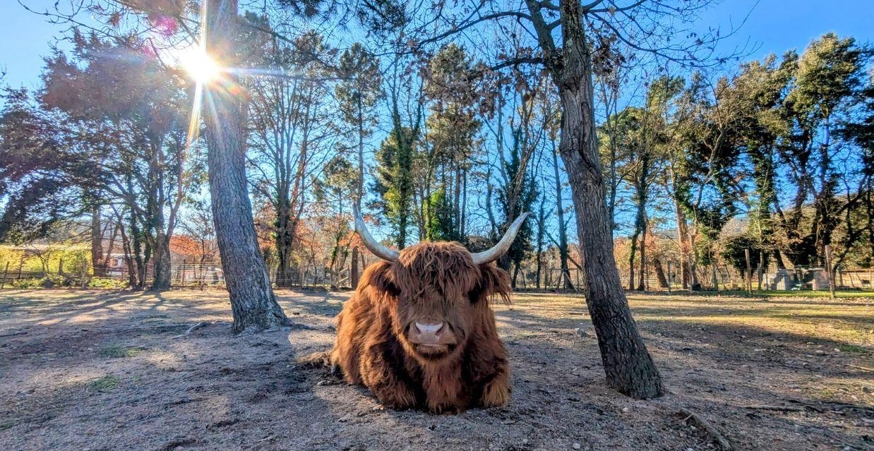 La Ferme d'Idefix, petite ferme pédagogique