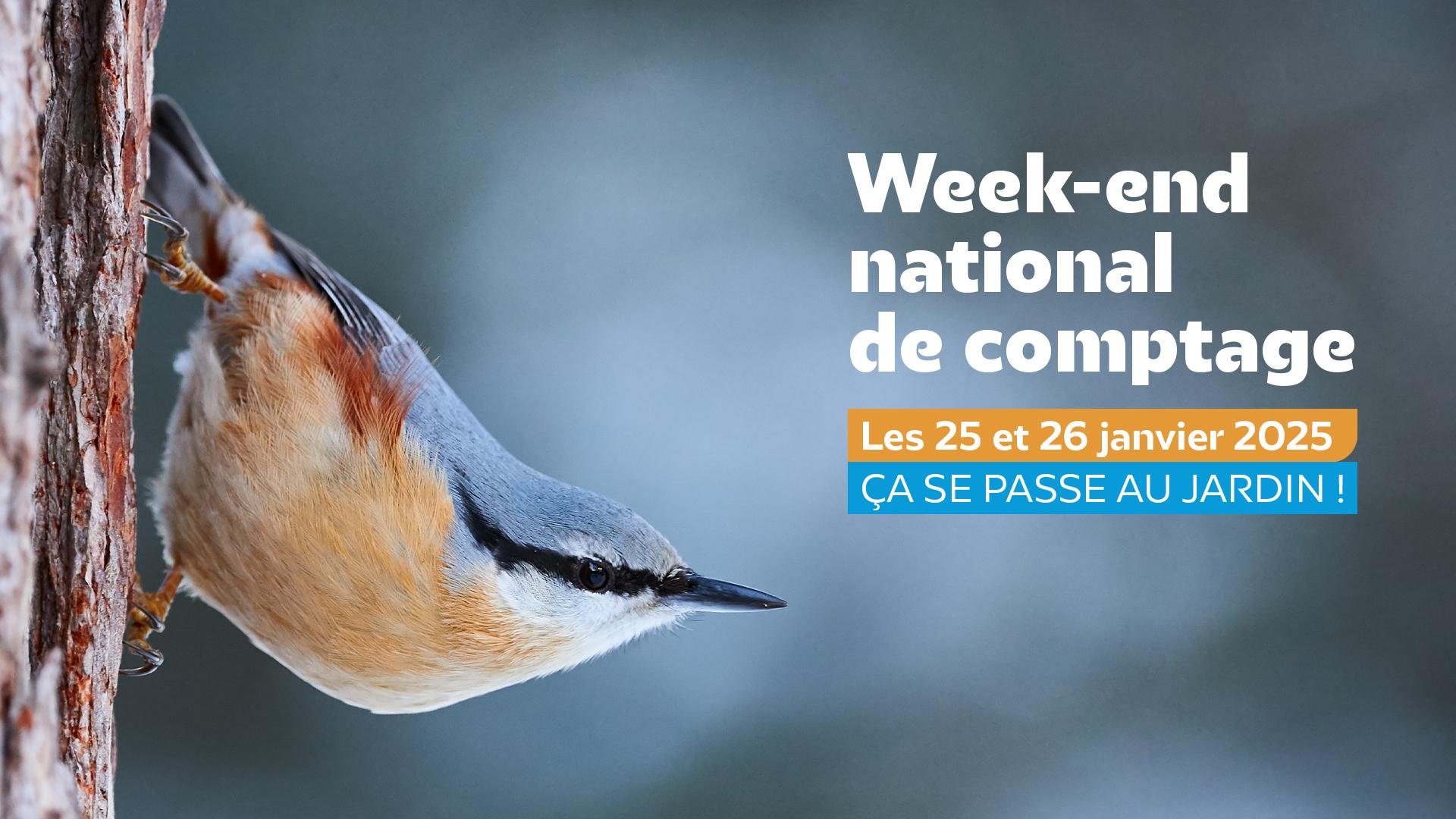 WEEK-END COMPTAGE DES OISEAUX LPO Week-end national de comptage des oiseaux des jardins