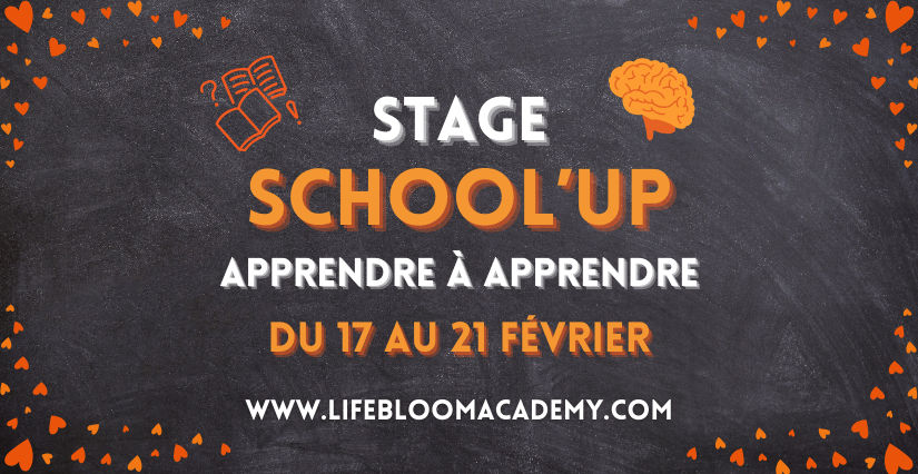 Stage "School'Up Maths" : révisions collège et lycée avec Life Bloom Academy Stage "School'Up " : révisions collège et lycée avec Life Bloom Academy