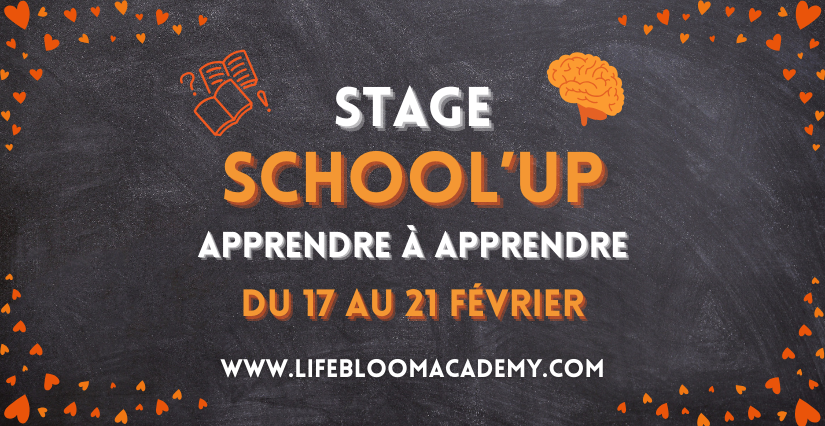 Stage "School'Up " : révisions collège et lycée avec Life Bloom Academy