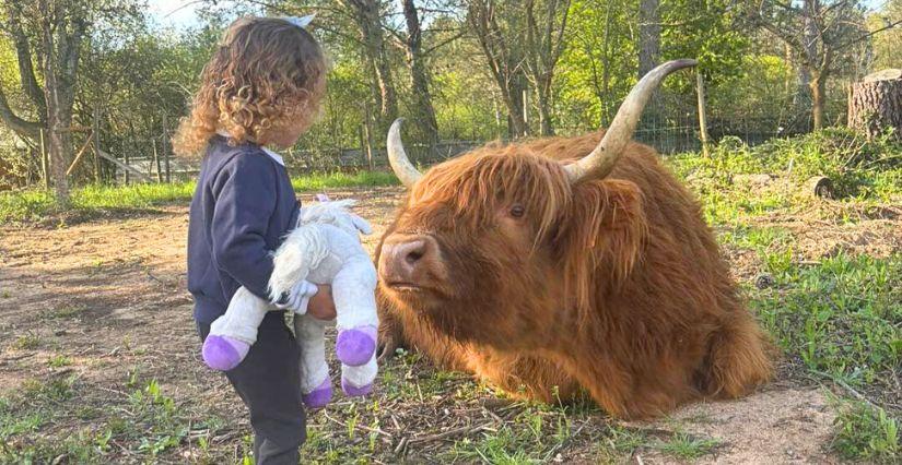 Visitez la Ferme d'Idéfix à Bagnols-en-forêt