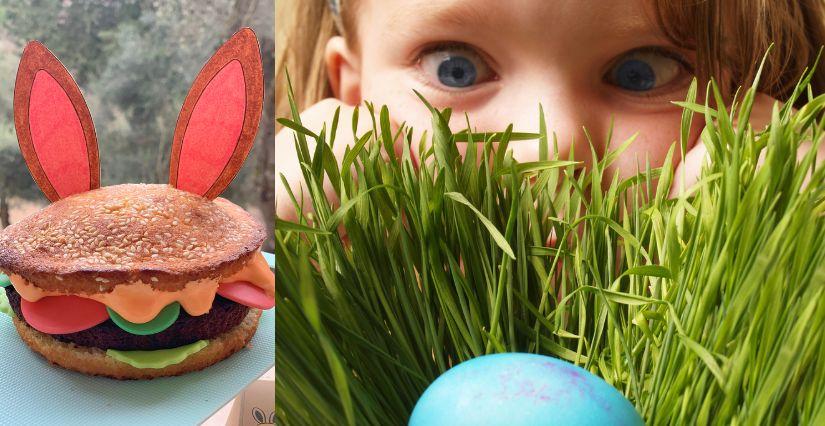 Atelier pâtisserie et chasse aux œufs au Domaine du Mas de L'Olivine à Peymeinade Atelier pâtisserie et chasse aux œufs au Domaine du Mas de L'Olivine à Peymeinade