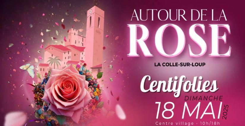 Autour de la rose à la Colle-sur-Loup Autour de la rose à la Colle-sur-Loup