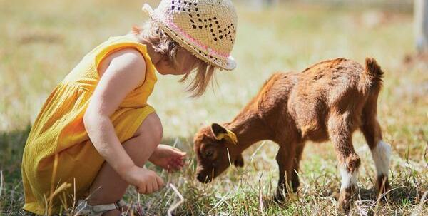 La ferme à Robinson Mandelieu