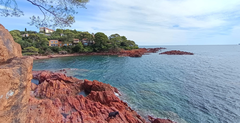 Randonnée en famille : le Sentier du Littoral du Port Santa Lucia au Dramont (Var)