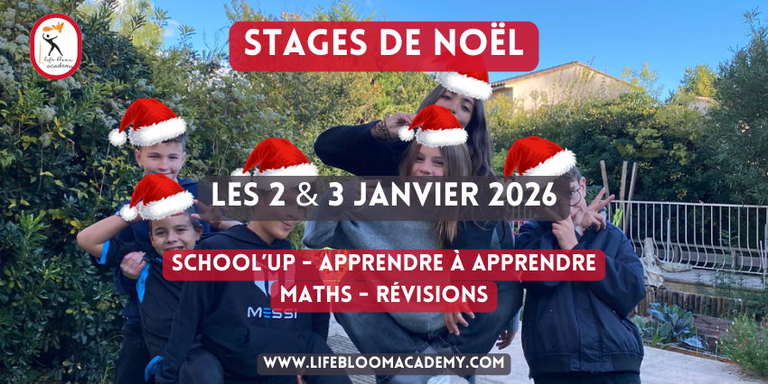 Les stages de Noël chez Life Bloom Academy à Cagnes-sur-Mer