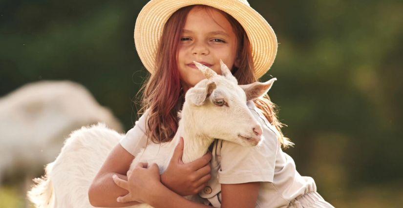 Rocheville à la Campagne au Cannet