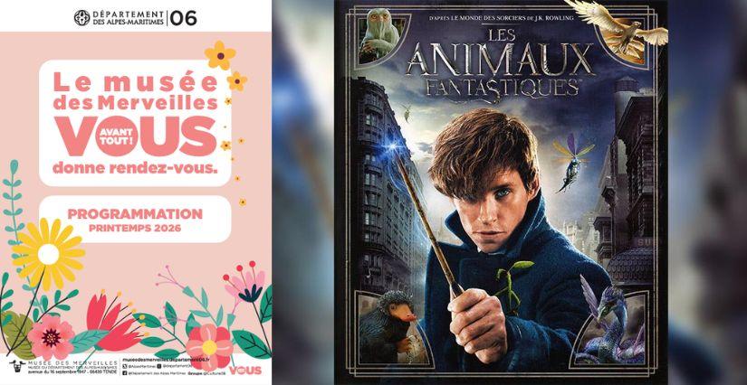 Musée des Merveilles : projection " Les animaux fantastiques "