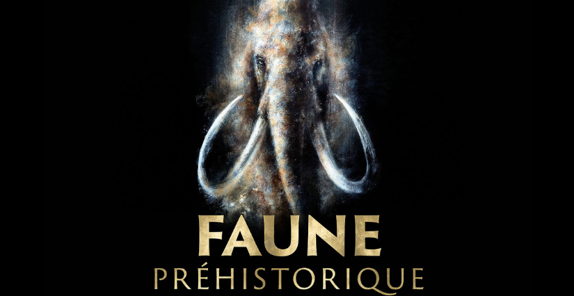 "Faune préhistorique" : Exposition en famille au Musée Archéologique de St Raphaël