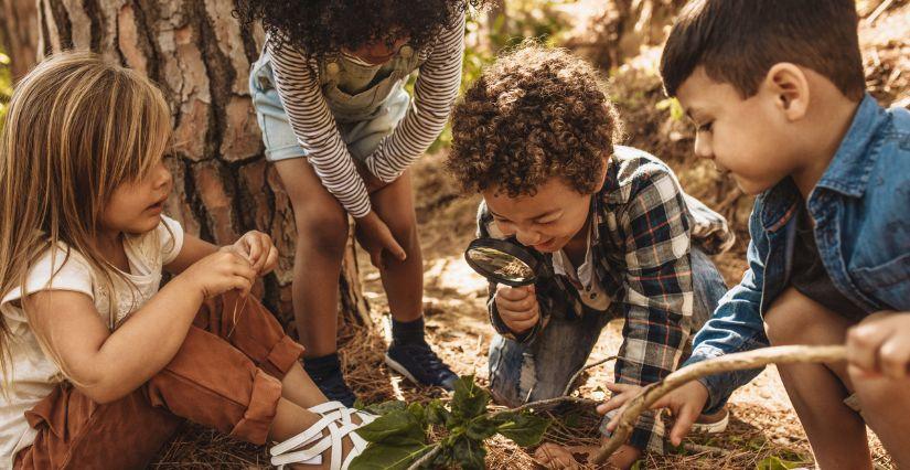 Journée en pleine nature “into the wild”, en famille avec l'agence Orgaya