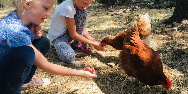 Garderie... à la ferme ! 