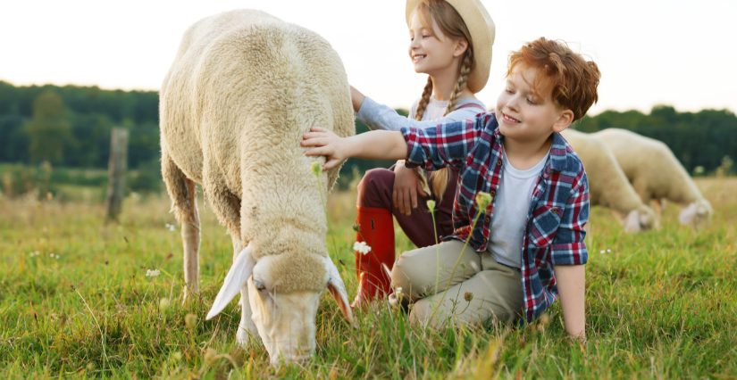 stage enfant à la ferme