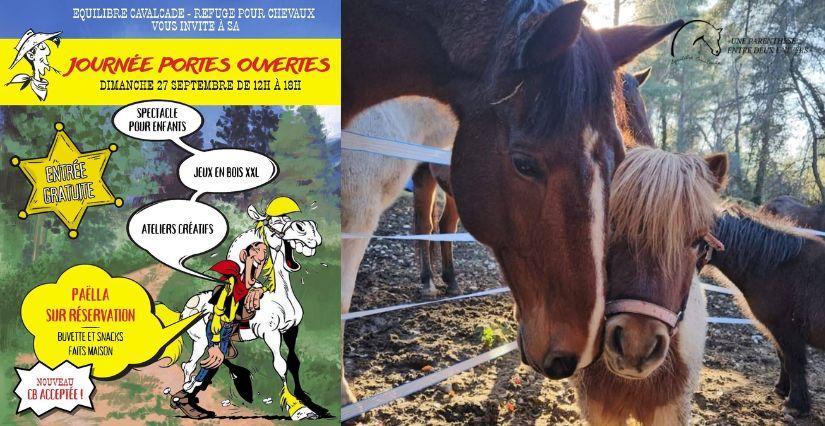 Une après-midi en famille avec les chevaux d'Équilibre Cavalcade à La Gaude