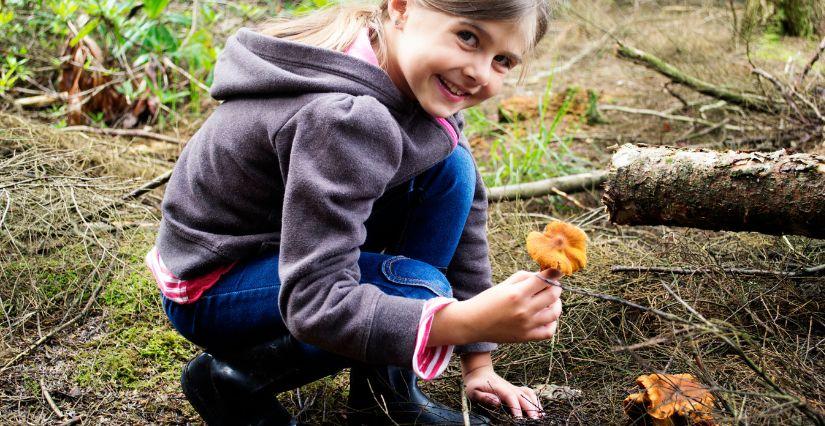 Découverte et cueillette des champignons en famille