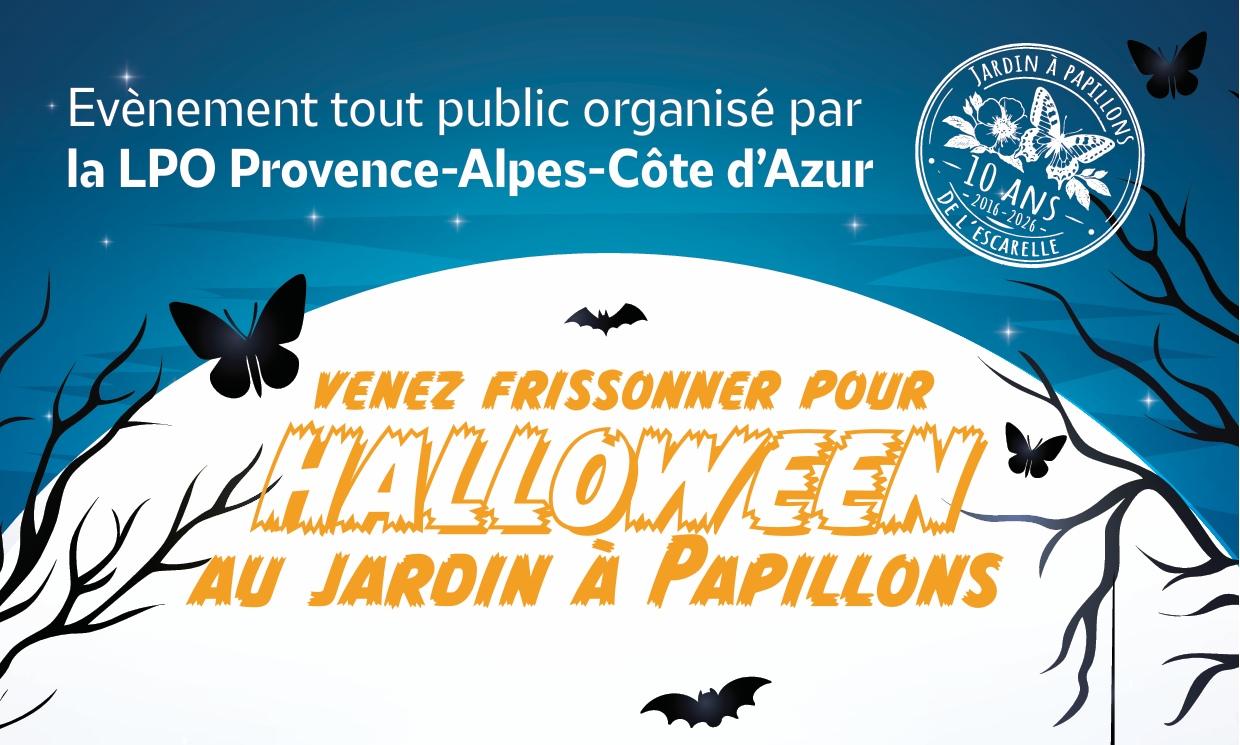 Halloween en famille au Jardin à papillons de l’Escarelle, dans le Var