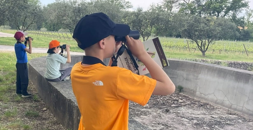 Stage « Jeune naturaliste » au Jardin à papillons de l’Escarelle, de 8 à 12 ans