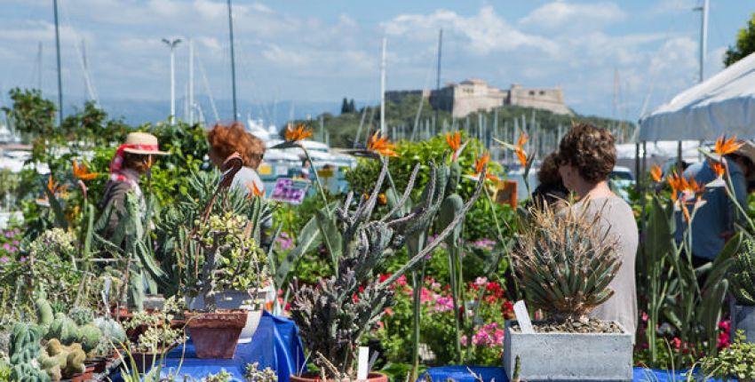 Les Floralies à Antibes Juan-les-Pins