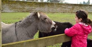 Animaux à la folie : les fermes pédagogiques et les parcs animaliers dans le Var