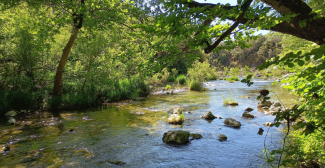 Balade en famille au bord de la Siagne : une randonnée nature au départ de la Chapelle Saint-Cassien à Tanneron Balade en famille au bord de la Siagne : une randonnée nature au départ de la Chapelle Saint-Cassien à Tanneron