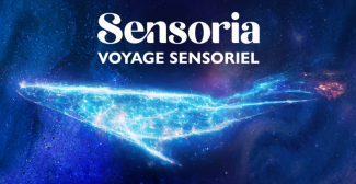 Sensoria à Cagnes-sur-Mer : une expérience immersive et sensorielle à vivre en famille