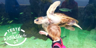 On a testé "L'odyssée des tortues" au Musée Océanographique de Monaco